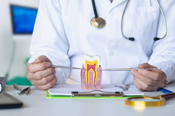 Best Emergency Dental Care for Abscessed Tooth in Ashdown, AR